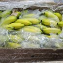 사단법인함께하는우리마음 이미지