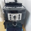 스테이파르크