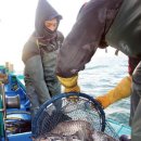 추도 화장실 이미지