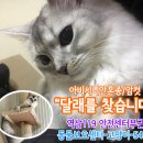 역삼119안전센터 이미지