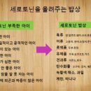 세로토닌의 비밀 이미지