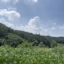 항금리 마을회관 이미지