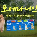 은평스타약국 이미지