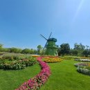 나리목장 이미지