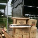 <b>강아지</b><b>캠퍼스</b>에서 도착한 사료.용품들~ 감사합니다!