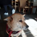 보람다방 이미지