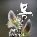 3월6일 수요일출석부 성인이 알아야 할 예방접종 8가지 이미지