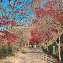 검암산(중간) 이미지