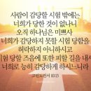 나다워
