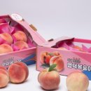 남산1리 마을회관 이미지