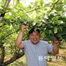 김재명농장 동아일보