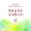 국토녹화 50주년 기념 걷기 좋은 '명품숲길 50선' 이미지