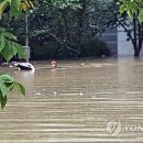 망미1-202 Daum카페