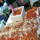 오마이홍게 이미지