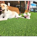 아이조아 요양보호소 경기광주 이미지