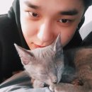 두식이 이미지