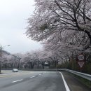 개나리미술관 이미지