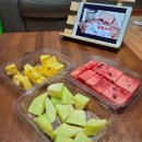 220815 찌니의하루