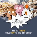 성유농장 이미지