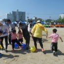 고령초교병설유치원 이미지