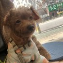 아이봄동물병원 이미지