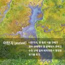 도시인