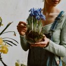 나의 작은 정원-홈 가드닝 이미지