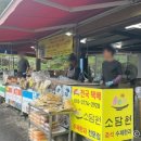 소담원여수