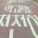 스쿨존 중앙일보