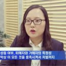법률사무소오페스