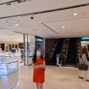 카페라쎄느 | 망빙로드 2탄 #롯데호텔망고빙수 #페닌슐라망고빙수 #호텔망고빙수 #페닌술라망고빙수 #애플망고빙수파는곳