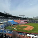 잠실구장 1루 네이비석 306블록 15열 그늘 자리 : 스태프핫도그 후기 / 240428 엘지 vs 기아