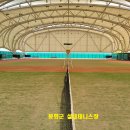 봉화복합스포츠단지 테니스장 네이버블로그