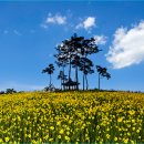 포리 소공원 이미지