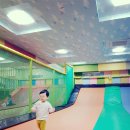 키크는나무