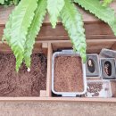 위드벅스 | 충남 홍성 프루떼 위드벅스 곤충 파충류 덕후를 위한 키즈체험 여행