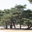 H9129 Daum카페