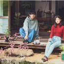 일본 여행가고 싶어지는 드라마 추천 <아리스씨네 화롯가> 리뷰 후기 정보 등장인물 줄거리 결말