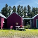 춤추는달 이미지