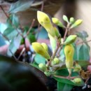 양재시장 이미지