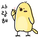 단골언니
