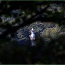 정릉14 이미지