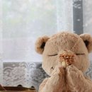 1097 | < 수원 신동 요가 > 11월 시간표 하타 / 쉬운요가 / 릴렉스요가 / 빈야사 / 골반하체 / 어깨스트레칭...