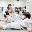 TL태권도 이미지