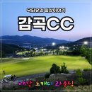 천천동 265-5~천천동 460-9 | 감곡cc 야간 노캐디 라운딩