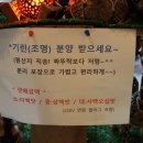 조명여행사 이미지
