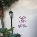 또올편의점픽미픽미아이스 | 감일 프라이빗 대관 키즈카페+온수풀 [랄라랜드 하남위례점], 세 가정 다녀온 솔직한 후기