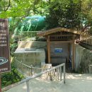 남구정골약수터 네이버블로그