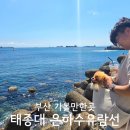 부산여행 가볼만한곳 추천 태종대유람선 은하수유람선 내돈내산 애견동반 후기