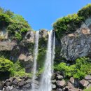 제주 서귀포 정방폭포 이미지